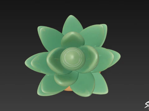 Cartoon Haworthia 3D Model