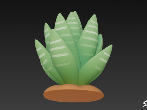 Haworthia de dibujos animados Modelo 3D