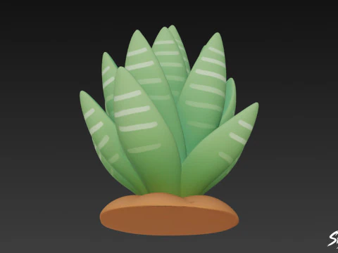 Cartoon Haworthia 3D Model