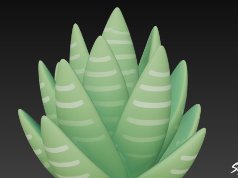 Haworthia de dibujos animados Modelo 3D