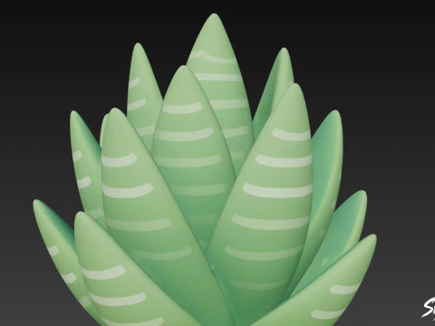 Cartoon Haworthia 3D Model