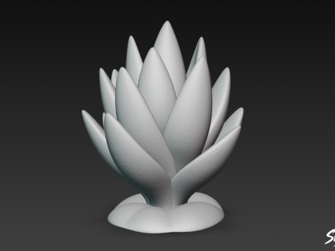 Haworthia de dibujos animados Modelo 3D