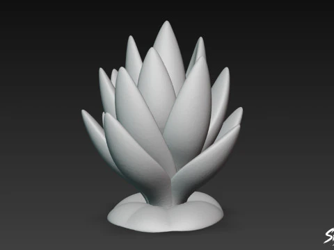 Cartoon Haworthia 3D Model