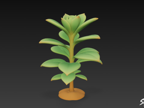 卡通长寿花 3D 模型