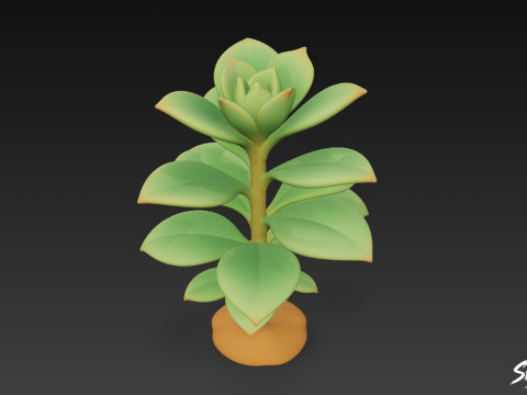 Cartoon Kalanchoë 3D Model