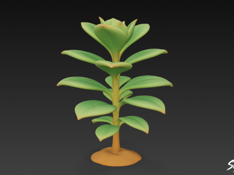 Cartoon Kalanchoë 3D Model