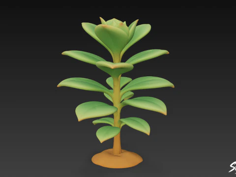 Cartoon Kalanchoe 3D Model