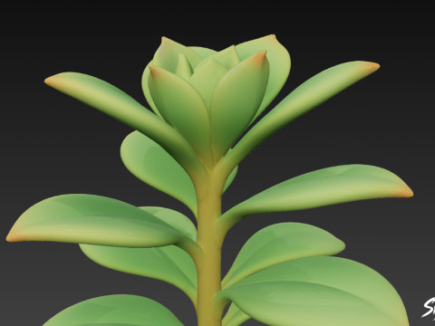 Cartoon Kalanchoë 3D Model