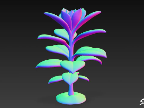 Cartoon Kalanchoe 3D Model