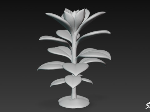 Cartoon Kalanchoë 3D Model