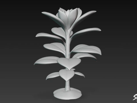Cartoon Kalanchoe 3D Model