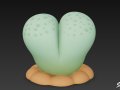 Cartoon Lithops 3Dモデル