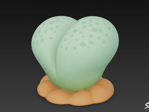 Cartoon Lithops 3D Model