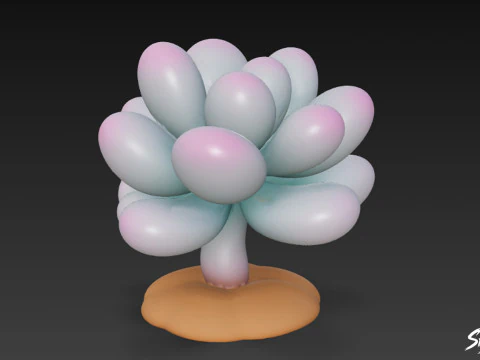 Cartoon Pachyphytum oviferum 3D Model
