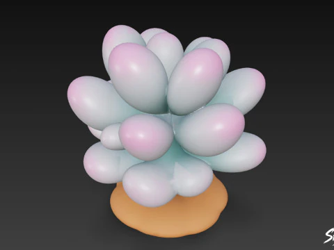 Cartoon Pachyphytum oviferum 3D Model