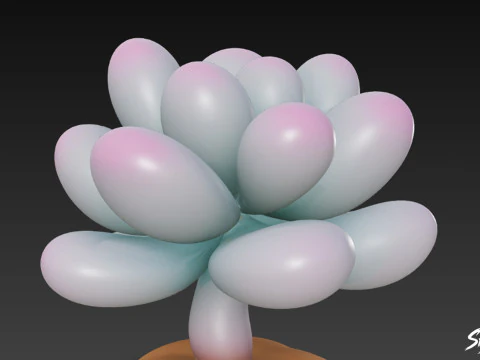 Cartoon Pachyphytum oviferum 3D Model
