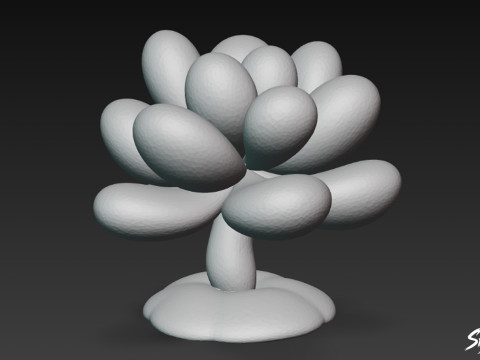 कार्टून पचीफाइटम ओविफेरम 3D मॉडल