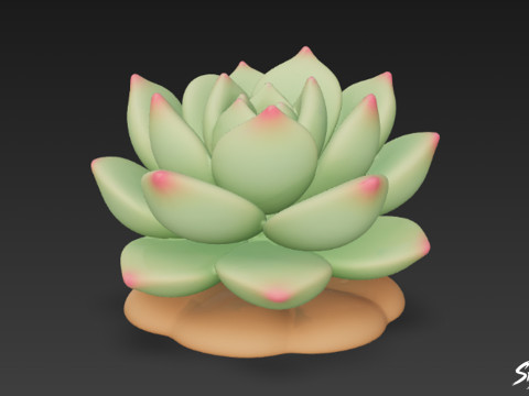 Мультфільм Sempervivum 3D Модель