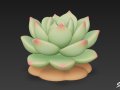 Cartoon Sempervivum 3Dモデル
