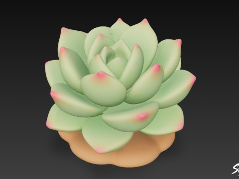 Мультфільм Sempervivum 3D Модель
