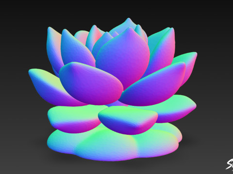 Мультфільм Sempervivum 3D Модель
