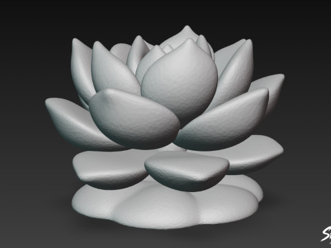 Мультфільм Sempervivum 3D Модель