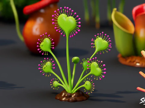 Cartoon Carnivorous Plants Pack 3D Model