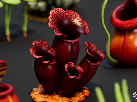 Мультфільм "Хижі рослини". 3D Модель