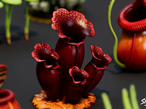 Cartoon Carnivorous Plants Pack 3D Model