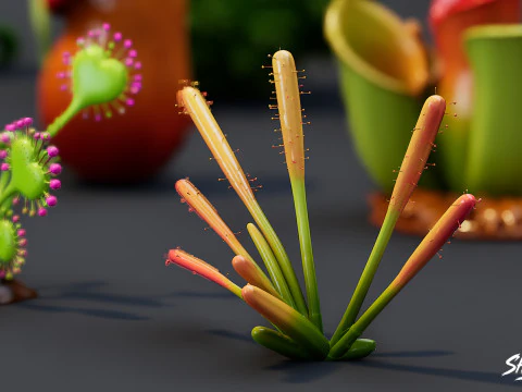 Cartoon Carnivorous Plants Pack 3D Model
