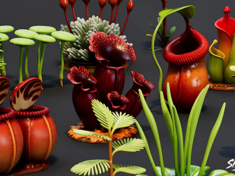 Cartoon Carnivorous Plants Pack 3D Model