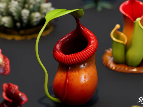 Cartoon Carnivorous Plants Pack 3D Model