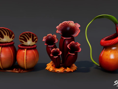 Cartoon Carnivorous Plants Pack 3D Model