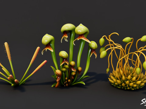 Мультфільм "Хижі рослини". 3D Модель