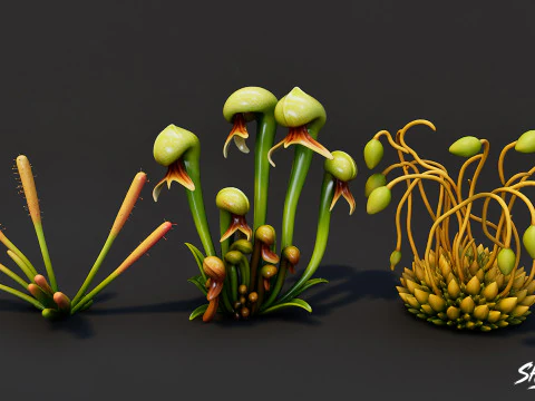 Cartoon Carnivorous Plants Pack 3D Model