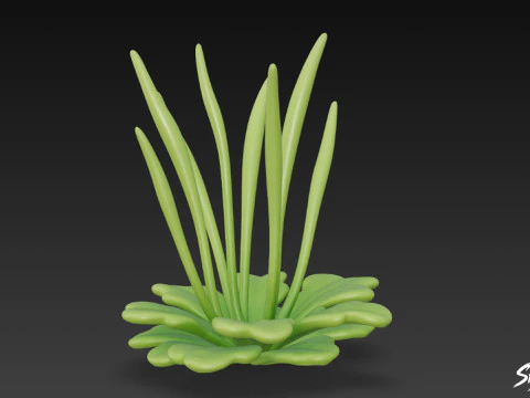 Dibujos animados Anthoceros punctatus Modelo 3D