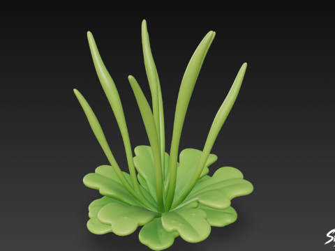 Cartoon Anthoceros punctatus 3D Modell