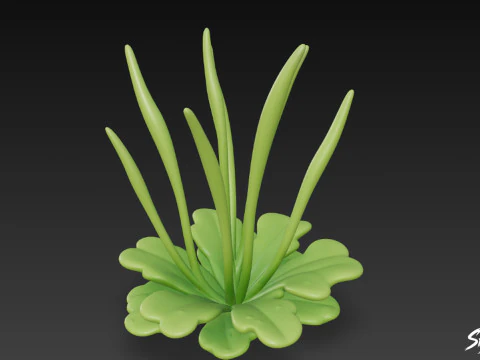 Cartoon Anthoceros punctatus 3D Model