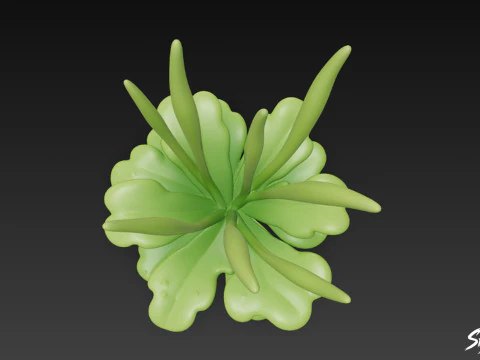 Cartoon Anthoceros punctatus 3D Model