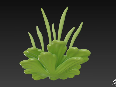 Cartoon Anthoceros punctatus 3D Model