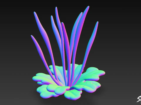 Cartoon Anthoceros punctatus 3D Model