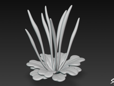 Cartoon Anthoceros punctatus 3D Modell