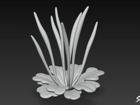Cartoon Anthoceros punctatus 3D Model