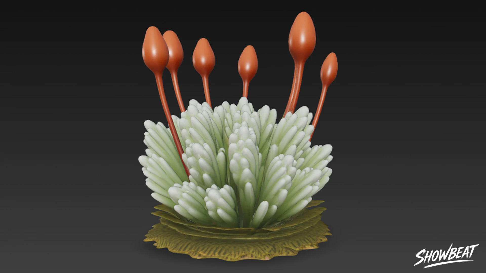 Cartoon Bryum argenteum 3D Model .c4d .max .obj .3ds .fbx .stl .blend