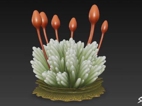 만화 Bryum argenteum 3D 모델
