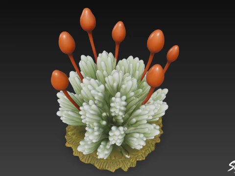 Cartoon Bryum argenteum 3D Model