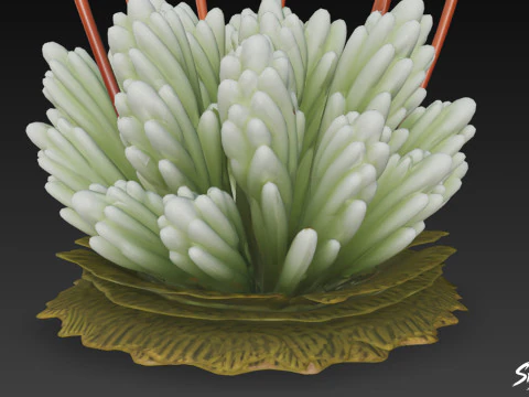 Cartoon Bryum argenteum 3D Model