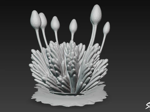 Cartoon Bryum argenteum 3D Model