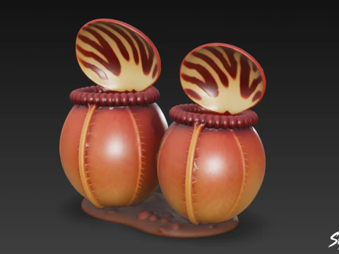 Cartoon Cephalotus follicularis 3D Model