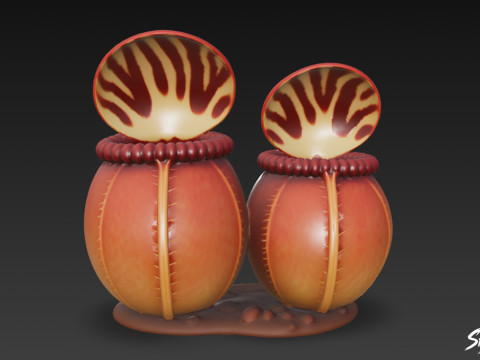 Karikatür Cephalotus follicularis 3D Model